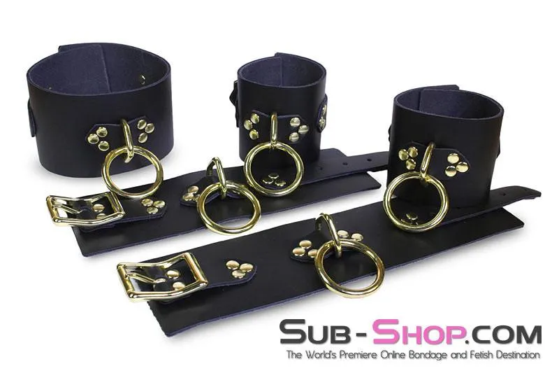 1651A  Gold Standard Deluxe Black Leather Bondage Posture Collar