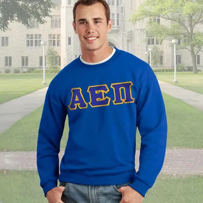 Alpha Epsilon Pi 9.3oz Crewneck Sweatshirt - G120 - TWILL