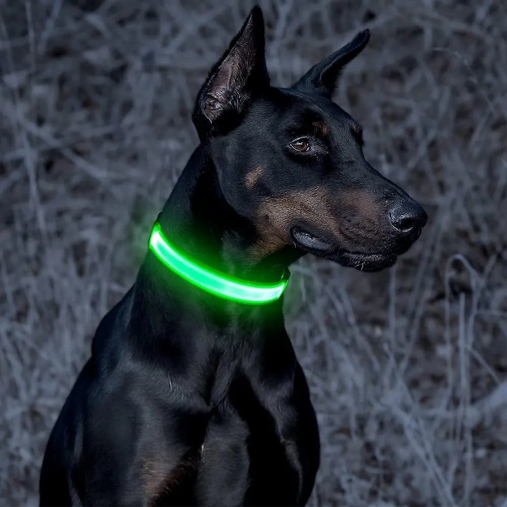 BSEEN Super Bright LED Dog Collar