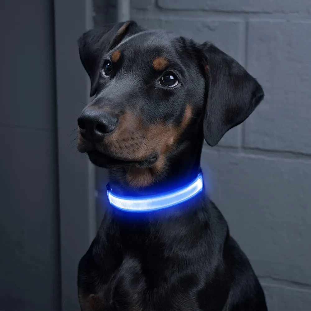 BSEEN Super Bright LED Dog Collar