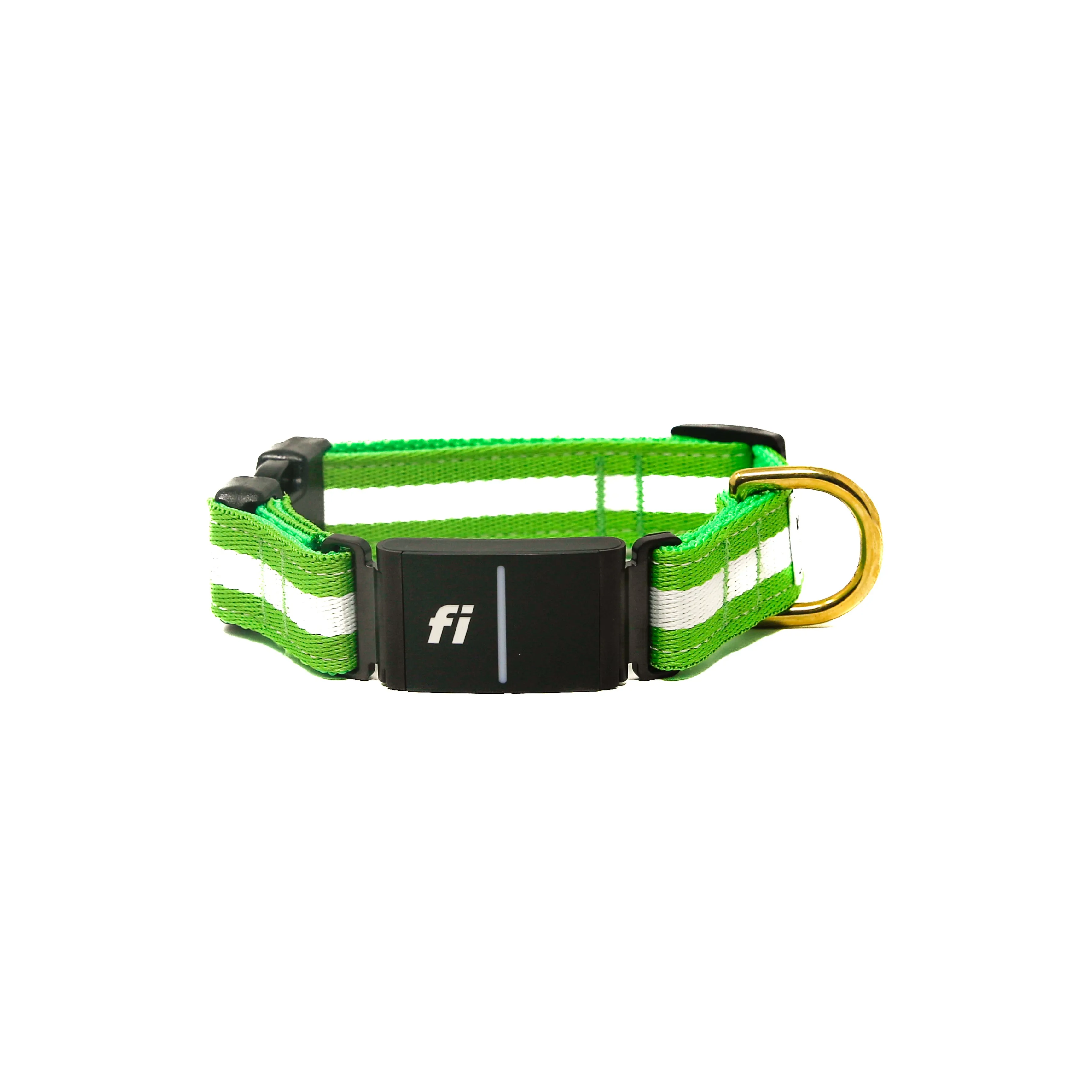 Fi Collar Band - Limeade