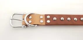 Leather Dog Collar with Single Line of Silver Chrome Buttons - Dark Brown - Medium