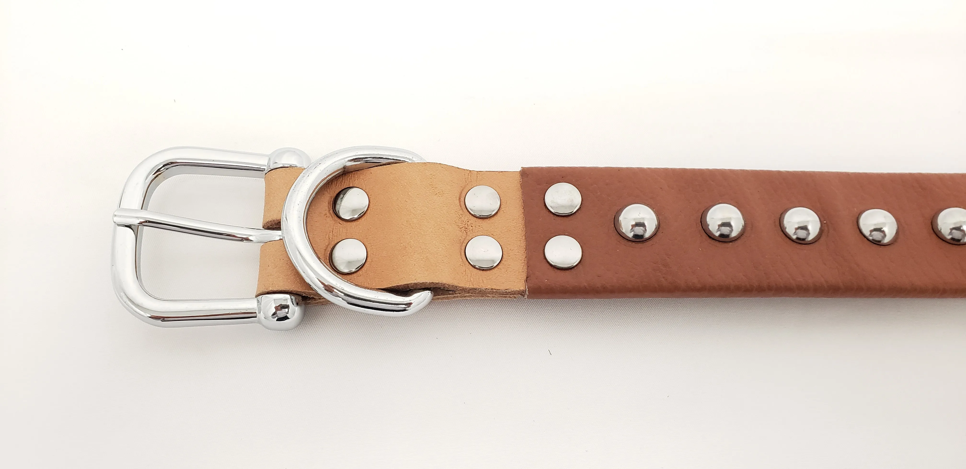 Leather Dog Collar with Single Line of Silver Chrome Buttons - Dark Brown - Medium