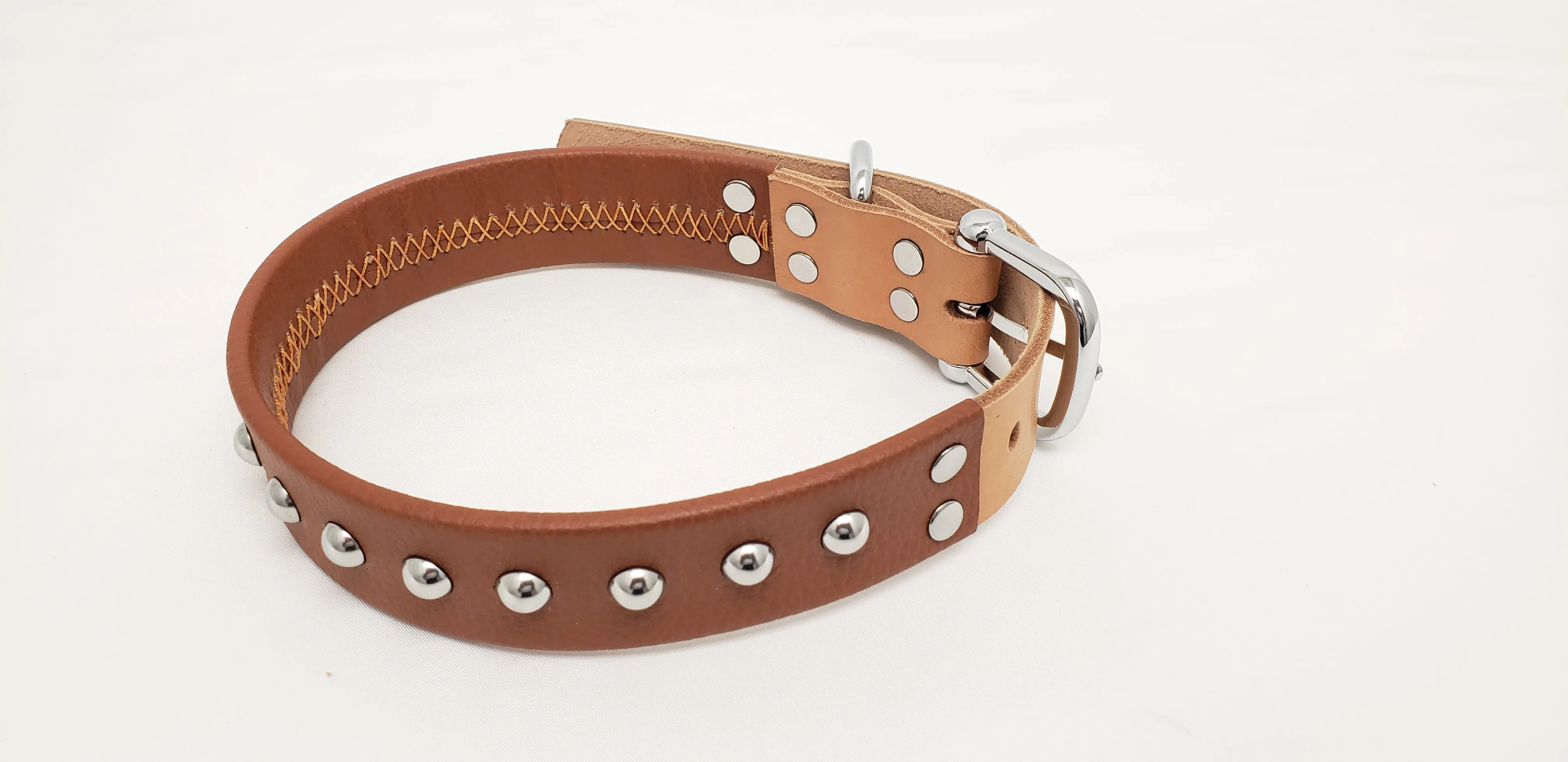 Leather Dog Collar with Single Line of Silver Chrome Buttons - Dark Brown - Medium