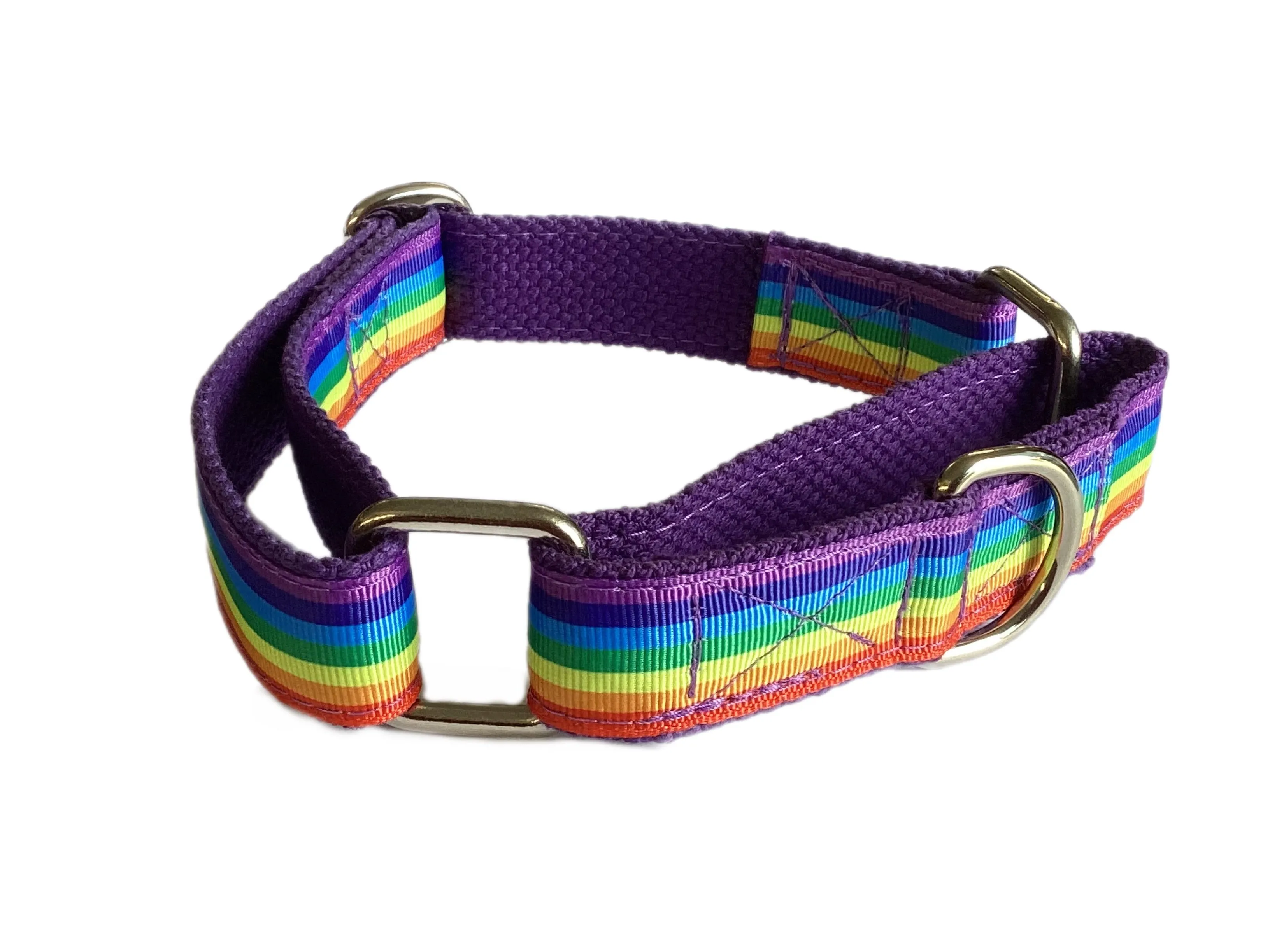 Rainbow colors 🏳️‍🌈 greyhound Martingale collar 25mm house collar