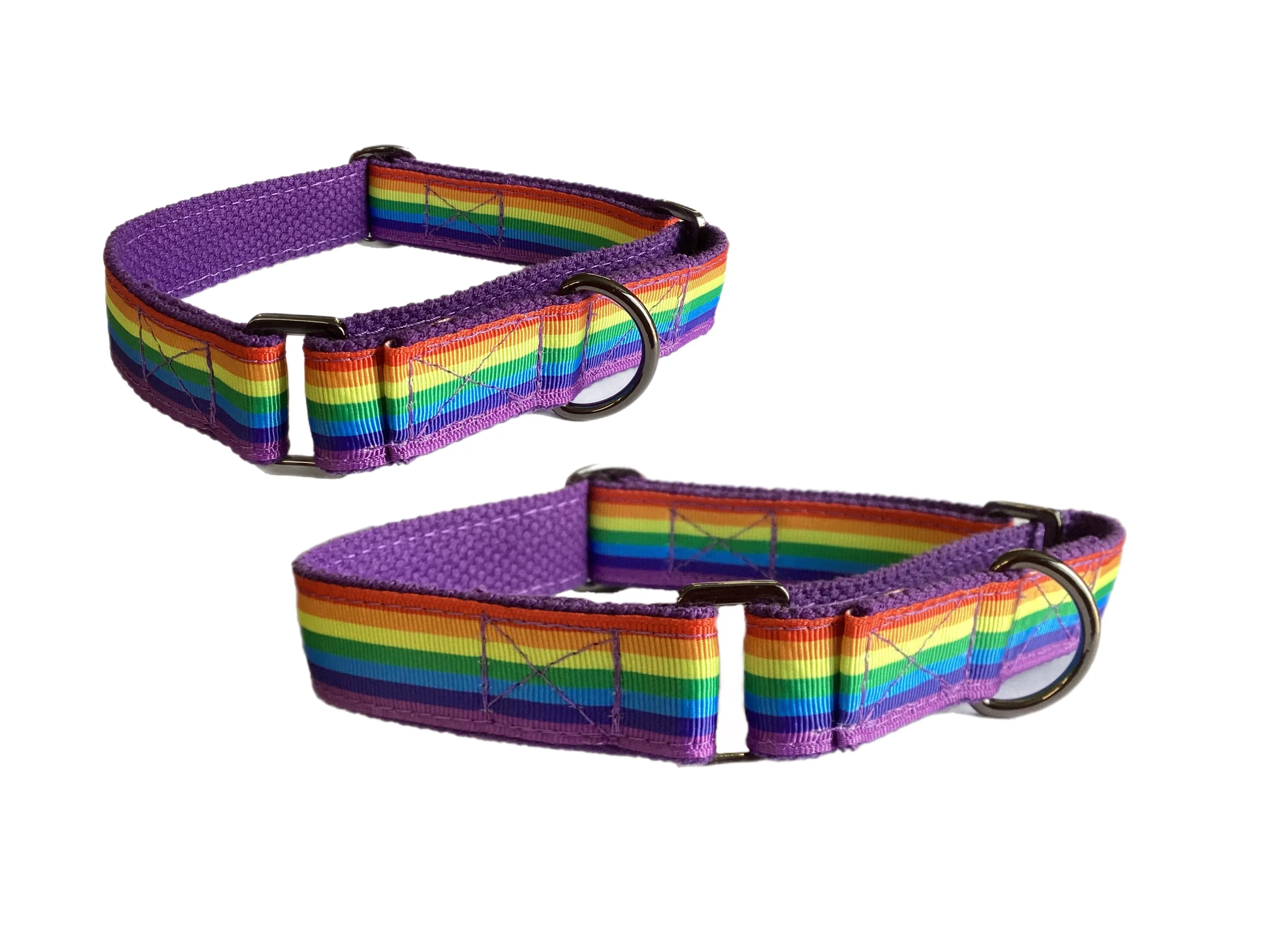 Rainbow colors 🏳️‍🌈 greyhound Martingale collar 25mm house collar