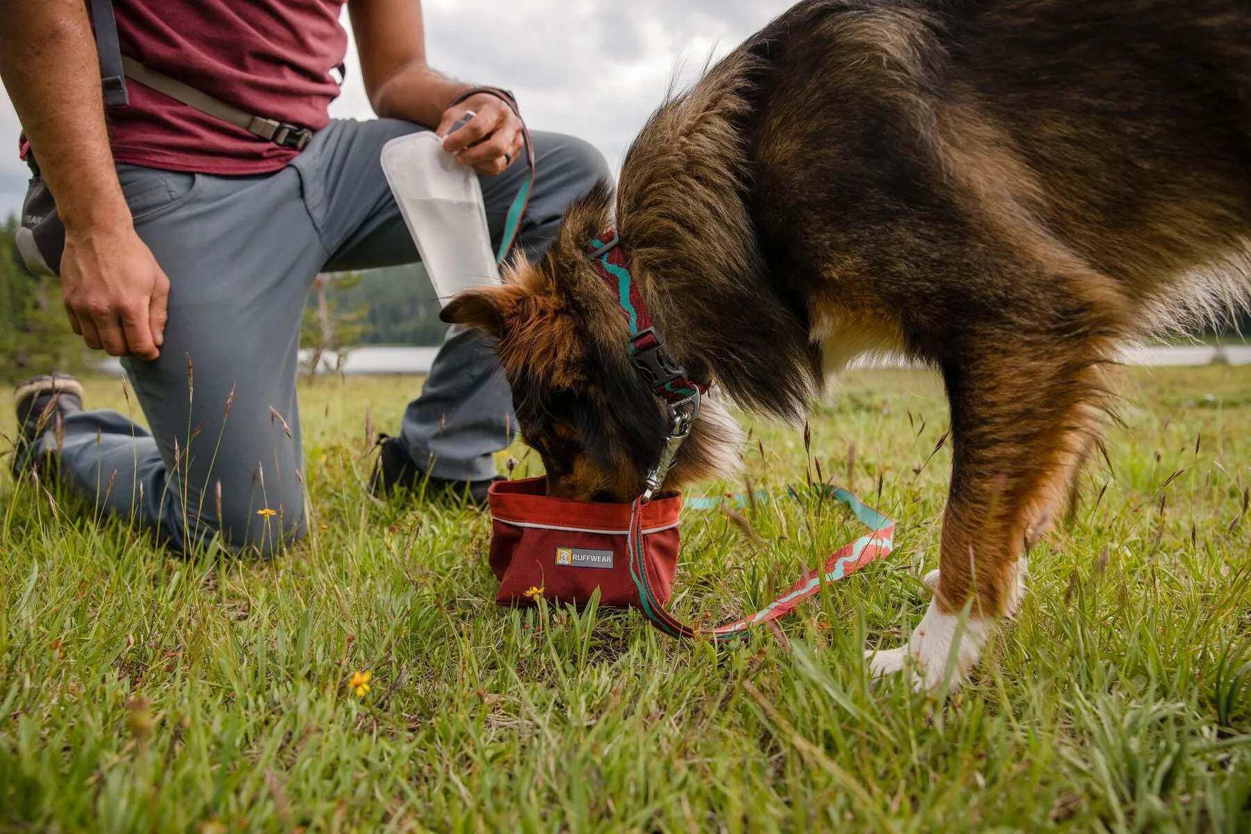 Ruffwear: Flat Out Dog Collar