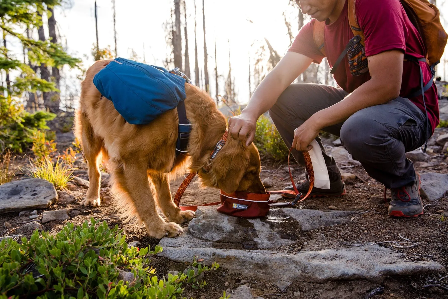 Ruffwear: Flat Out Dog Collar