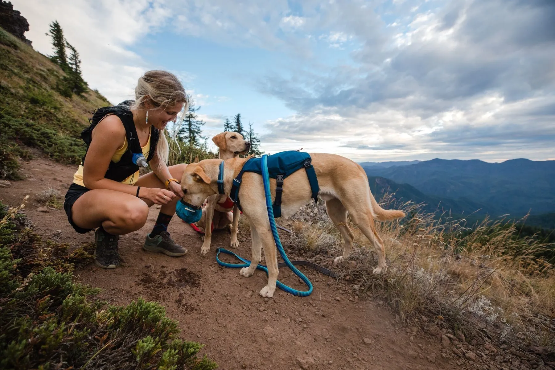 Ruffwear: Flat Out Dog Collar