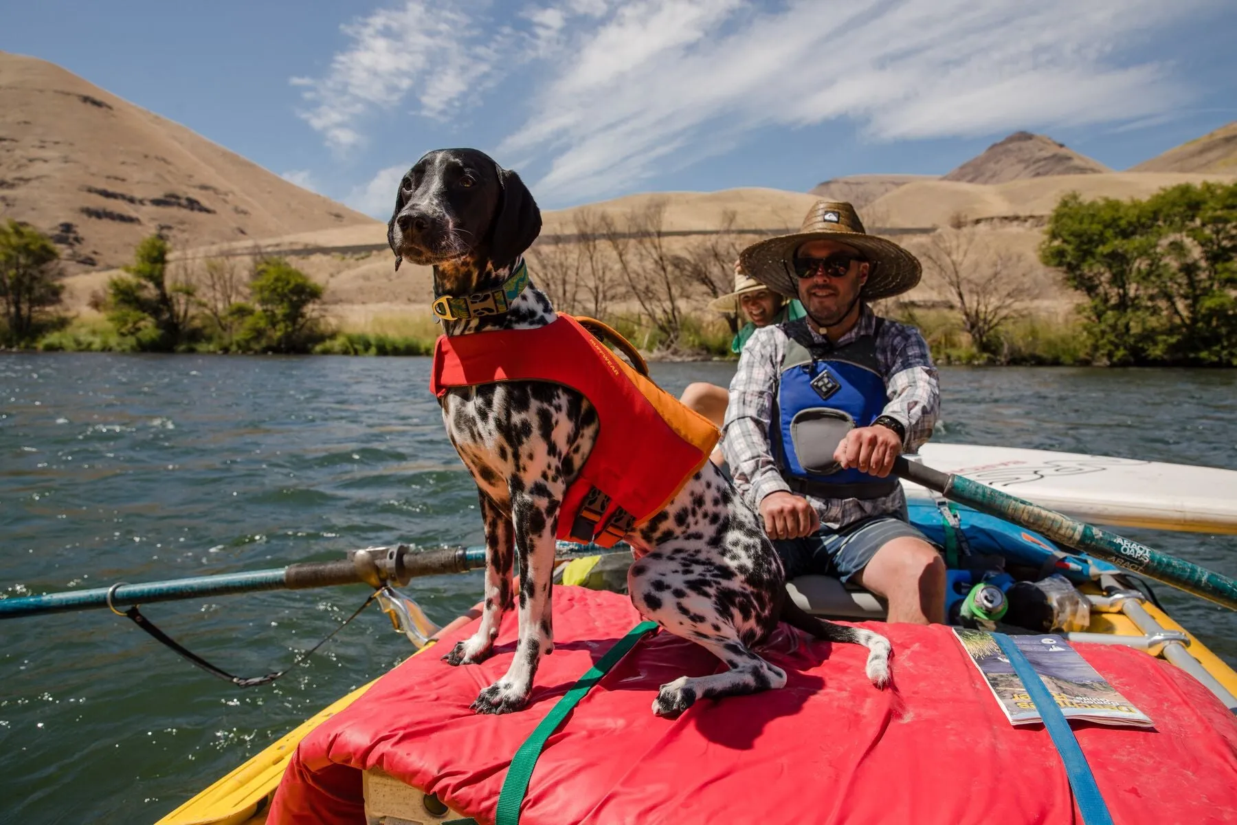 Ruffwear: Flat Out Dog Collar