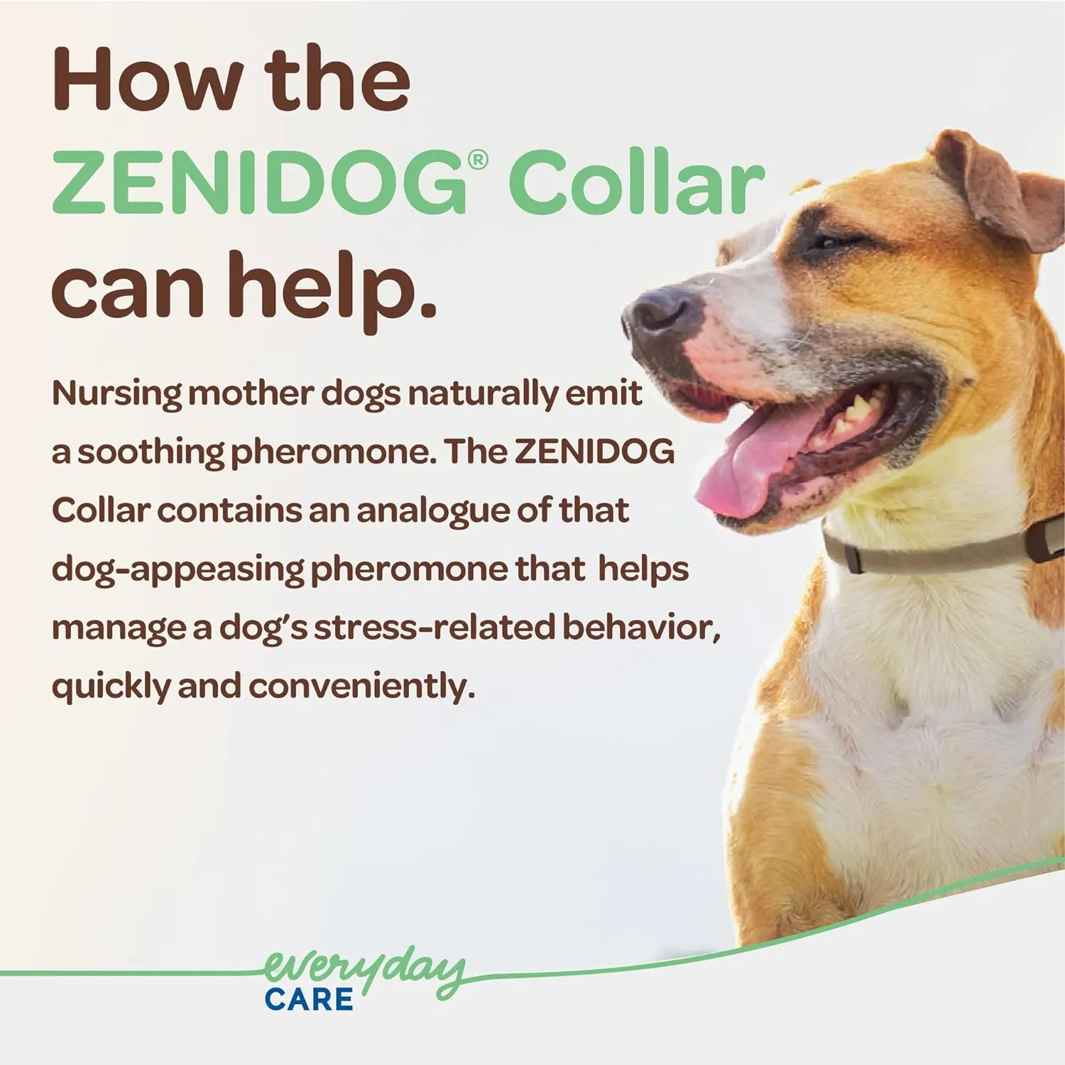 ZENIDOG Calming Collar for Puppies/Small Dogs Up to 22 lbs